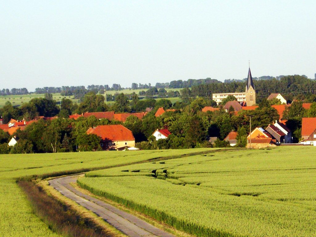 Impressionen Kunstmühle Veckenstedt