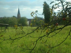 Veckenstedt Thie